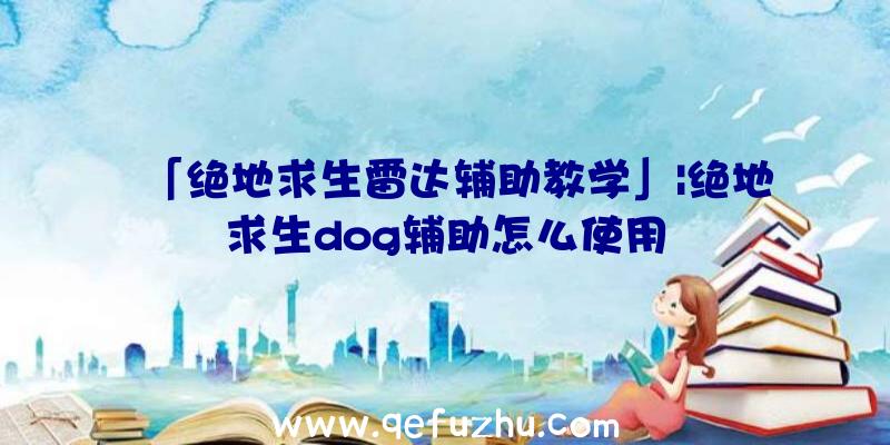 「绝地求生雷达辅助教学」|绝地求生dog辅助怎么使用